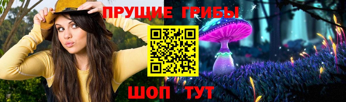 купить наркотик  Вход с VPN  Псилоцибиновые грибы мухоморы  Стрежевой  Галлюциногенные грибы Magic Shrooms 