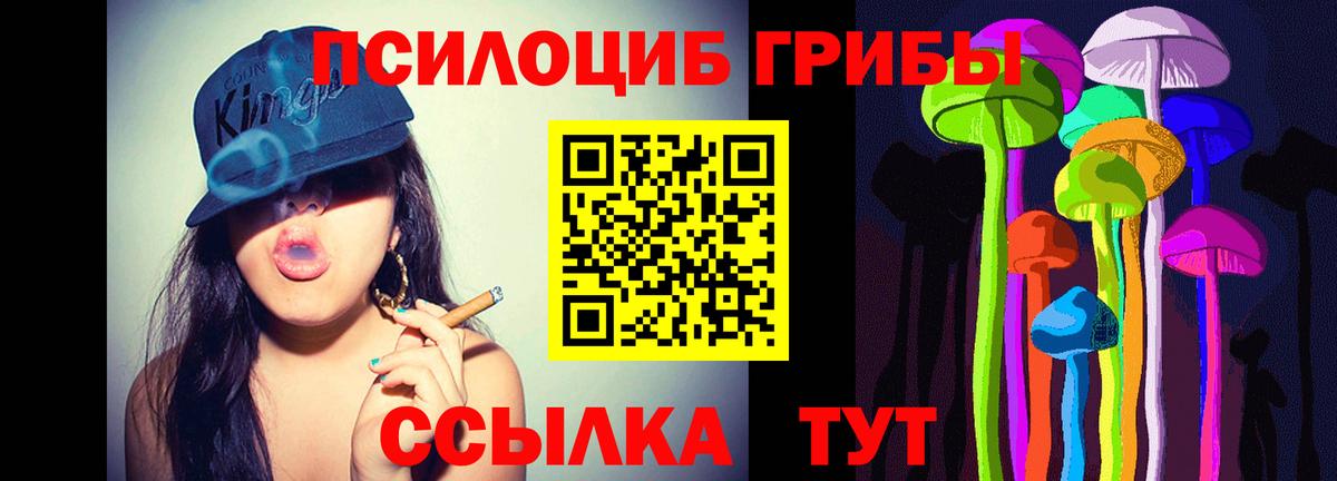 Псилоцибиновые грибы мухоморы Стрежевой